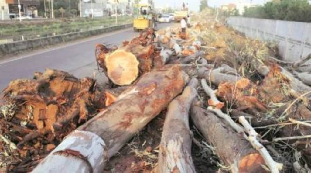 environment, climate, climate crimes, United Nations
