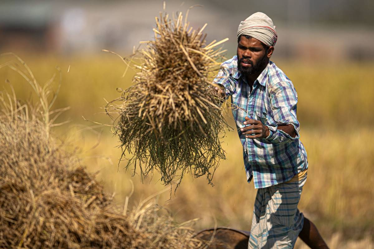 Explainer: Who is a distressed farmer?