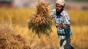 Explainer: Who is a distressed farmer?