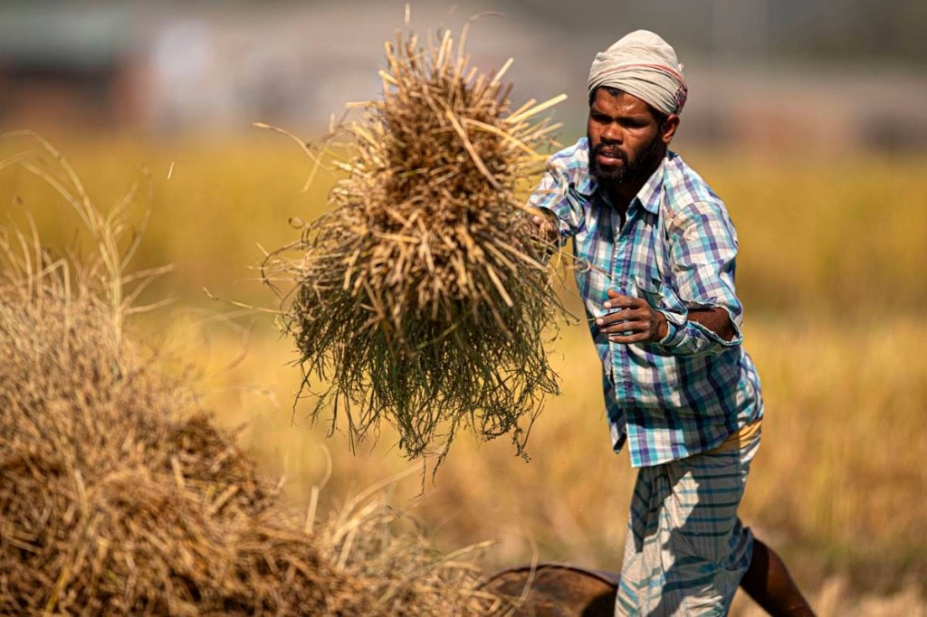 Explainer: Who is a distressed farmer?