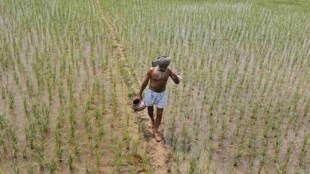 farmers income