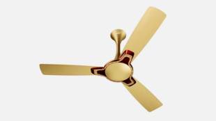 V-Guard launches Romanza Art fans