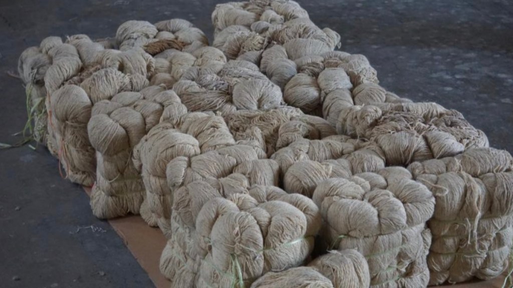 To dodge the authorities, the drug syndicate had applied a unique modus operandi in which threads were soaked in a solution containing heroin.