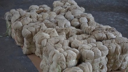 To dodge the authorities, the drug syndicate had applied a unique modus operandi in which threads were soaked in a solution containing heroin.