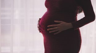 maternity insurance news