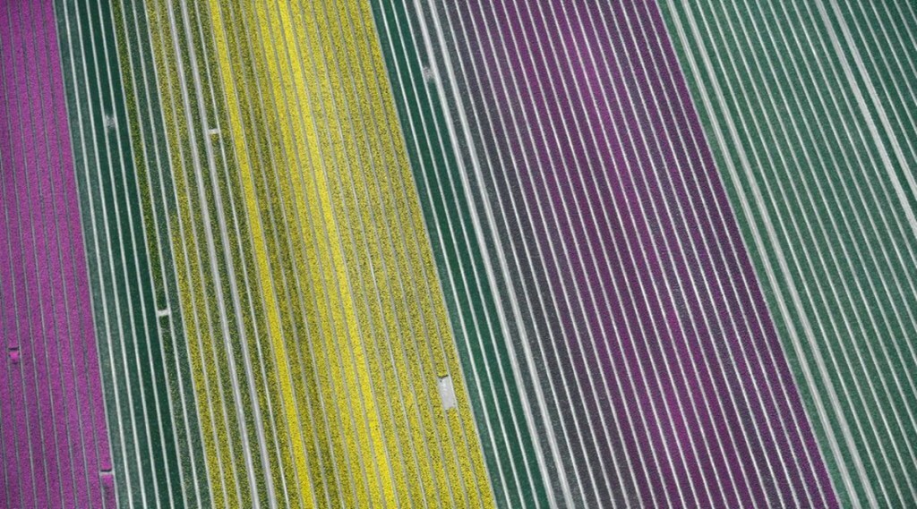 netherlands