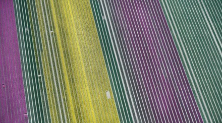 netherlands