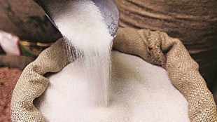 Sugar exports