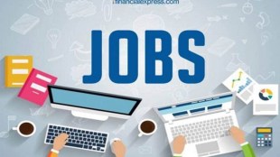 The hiring activity will be largely focused on BFSI, telecom/ISP and manufacturing sectors along with progressive hiring in IT/ITeS, healthcare, retail, automotive and real estate industries, he said.