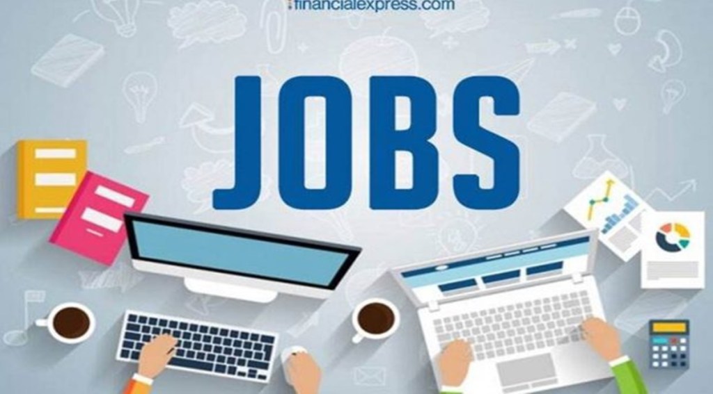 The hiring activity will be largely focused on BFSI, telecom/ISP and manufacturing sectors along with progressive hiring in IT/ITeS, healthcare, retail, automotive and real estate industries, he said.