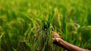 “We are working on a digital and services initiative, which aims at bringing holistic and customised solutions like advanced agri-advisory, crop inputs, credit, farm services etc,” Susheel Kumar, country head and managing director, Syngenta India, told FE in an email interaction.
