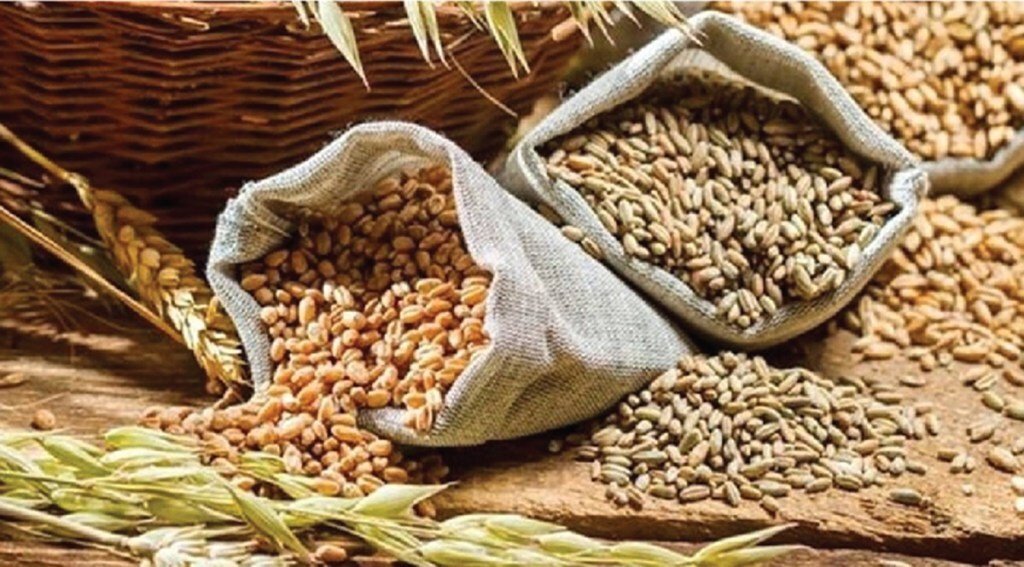 “There is a significant demand for wheat from India in the global market and we will be extending all support to boost shipment,” M Angamuthu, chairman, Agricultural and Processed Food Products Export Development Authority (APEDA), told FE.