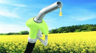 Trade body joins hands with Taiwan for green technology