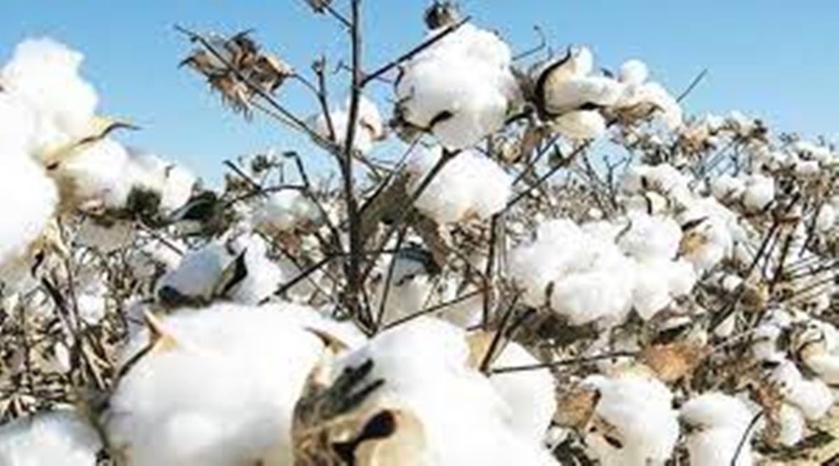 He suggested the government to impose a temporary ban on exports of cotton and cotton yarn like Indonesia has done for its palm oil.