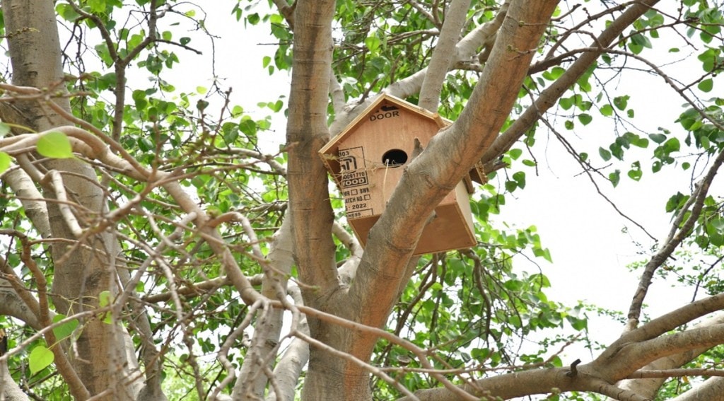 "We have tried to give them nesting places and food sources in the 'Goraiya Gram'. We do not only want to increase the green cover in Delhi but create a healthy ecological system and give a suitable environment to birds and animals," he said. (Twitter image) "We have tried to give them nesting places and food sources in the 'Goraiya Gram'. We do not only want to increase the green cover in Delhi but create a healthy ecological system and give a suitable environment to birds and animals," he said. (Twitter image)