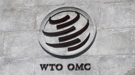 At the upcoming 12th WTO ministerial from June 12, New Delhi will also resist the bid by 70-80 countries led by Singapore to give binding commitment on exempting food items purchased by only the UN's World Food Programme (WFP) from any domestic restriction on exports. This group includes countries like the US, Canada and Australia. At the upcoming 12th WTO ministerial from June 12, New Delhi will also resist the bid by 70-80 countries led by Singapore to give binding commitment on exempting food items purchased by only the UN's World Food Programme (WFP) from any domestic restriction on exports. This group includes countries like the US, Canada and Australia.