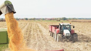 Monsoon, lower rural demand impact July retail sales