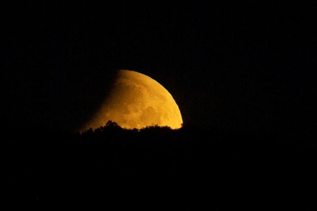 Ice on moon’s surface: Computer simulations reveal that moon may have contained a lot of water – check details