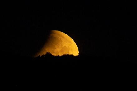Ice on moon’s surface: Computer simulations reveal that moon may have contained a lot of water – check details