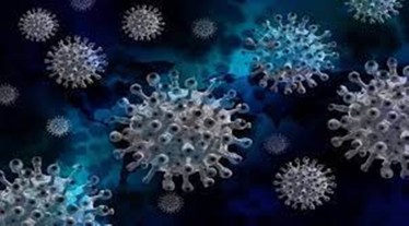 Delhi had logged 1,422 Covid cases and zero death due to the viral disease on Sunday, while the positivity was at 5.34 per cent. The city saw 1,407 Covid cases with a positivity rate of 4.72 per cent and two deaths on Saturday.