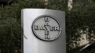 BAYER