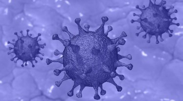 Australia, NSW, covid-19, coronavirus pandemic, omicron, omicron variant, omicron subvariant, health news, health updates, covid news,