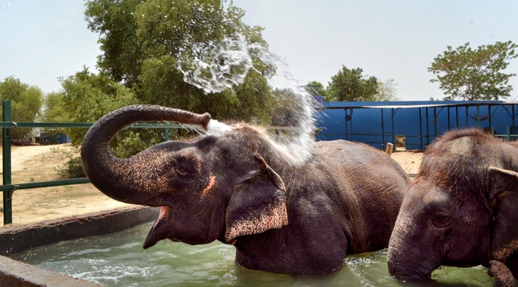 Delhi Power Crisis, Coal Stock,Coal Shortage, Indian Weather