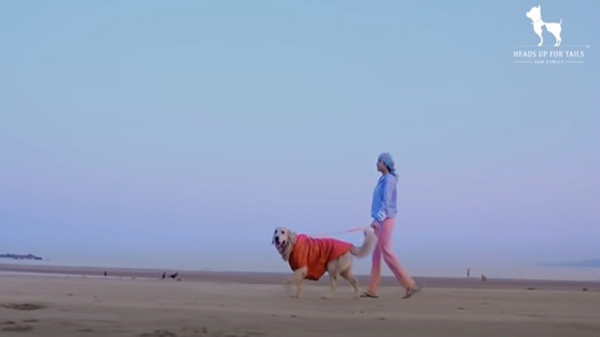Directed by Tom Koshy, the films highlight how people come together with their pets to build a family bond. Directed by Tom Koshy, the films highlight how people come together with their pets to build a family bond.