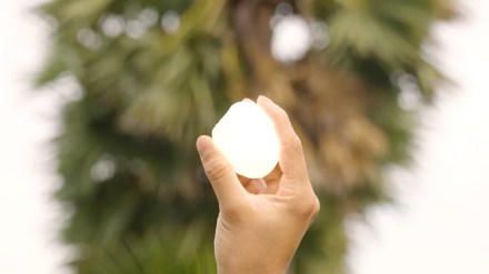 The first fruit that is being covered as a part of the campaign is “nungus” (Ice Apples) The first fruit that is being covered as a part of the campaign is “nungus” (Ice Apples)