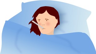 West Nile fever, Tomato flu, Hepatitis A, Kerala, US, WHO, Monkeypox, coronavirus