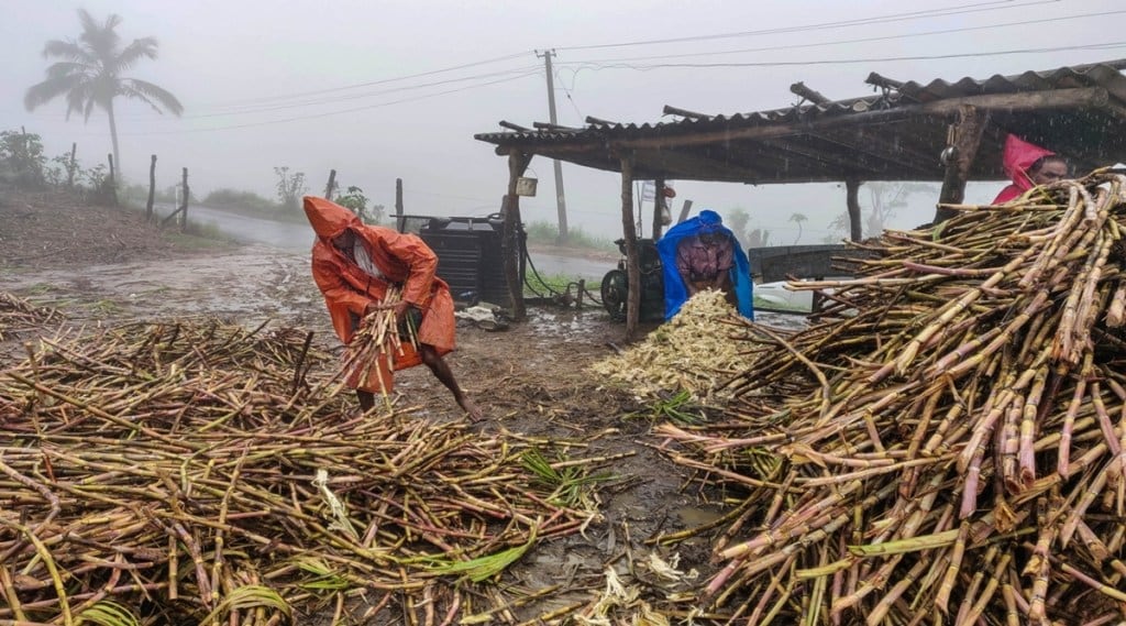 kerala monsoon
