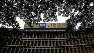 LIC stocks