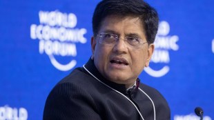 Export ban decisions based on domestic needs, checking hoarders: Commerce and Industry Minister Piyush Goyal