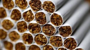 tobacco, world tobacco day, say no to smoking, health news,