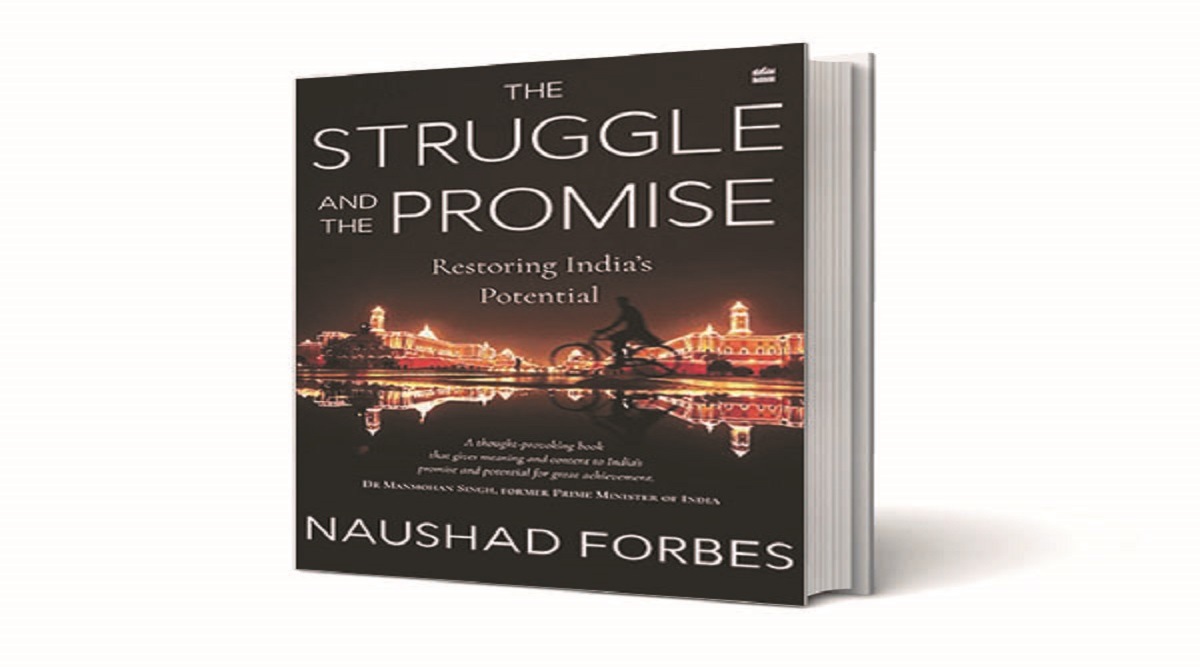 The Struggle and the Promise cover