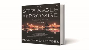 The Struggle and the Promise cover
