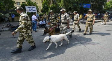 Trained sniffer dogs