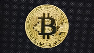 bitcoin dominance rises