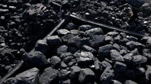 coal imports