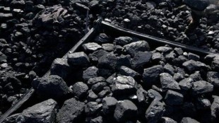 coal imports