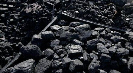 coal imports