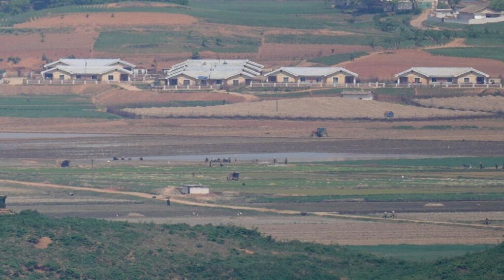 covid 19 cases in north korea