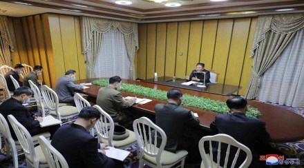 covid 19 deaths in north korea