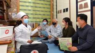 covid caseload in north korea