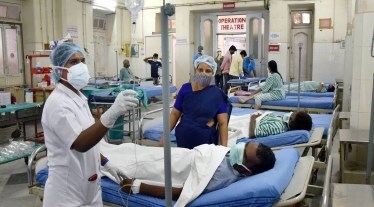 covid deaths in india