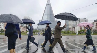 covid in north korea