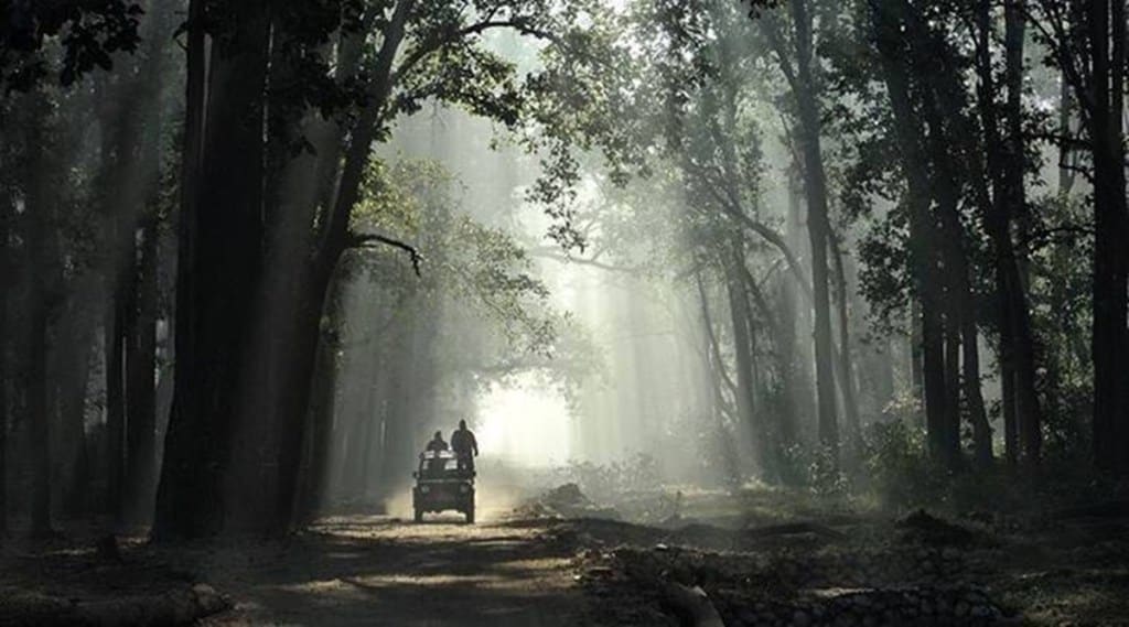 goa forest, goa tourism