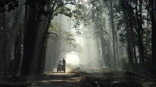 goa forest, goa tourism
