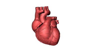 congenital heart defects, heart disorder, heart, human heart, children, kids, health news,