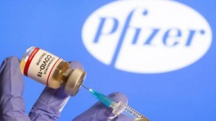 Pfizer, Valneva, Lyme disease program, Lyme disease, health news, pharma news,